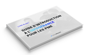 livre blanc guide info